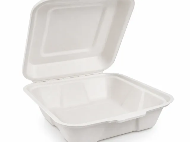 Bagasse Clamshell Box